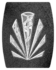 DAREC 602 SL SH BK Silver Sunburst Shimmer Black Background